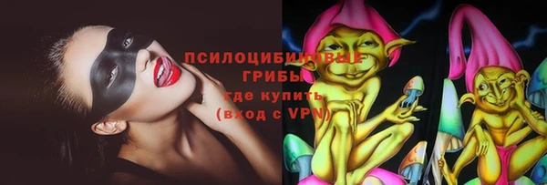 Альфа ПВП Белокуриха