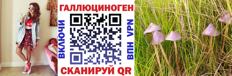 Псилоцибиновые грибы Cubensis  как найти   MEGA ссылки  Электрогорск 